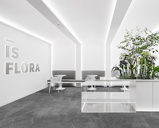 MINERA ANDES Light Grey Loop Modern Office Carpet Tiles