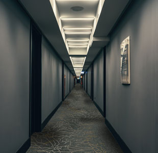 Green Loop Contemporary Commercial Carpet