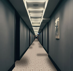 Brown Loop Luxury Hotel Carpet